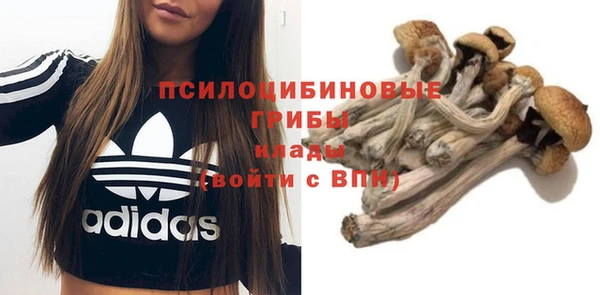 первитин Арсеньев
