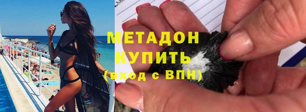 хмурый Аркадак