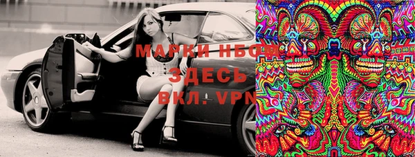 хмурый Аркадак