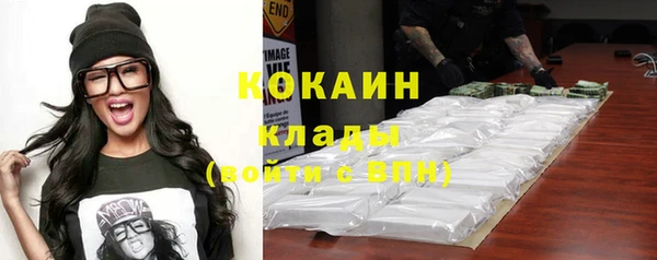 хмурый Аркадак