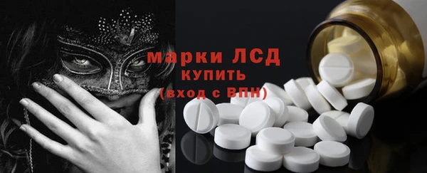 хмурый Аркадак