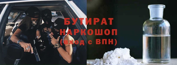хмурый Аркадак