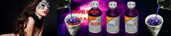 хмурый Аркадак