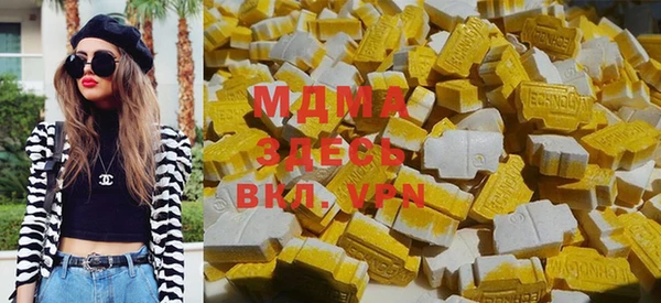 хмурый Аркадак