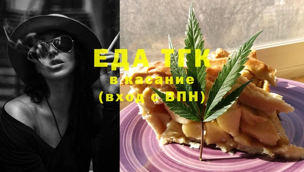 хмурый Аркадак