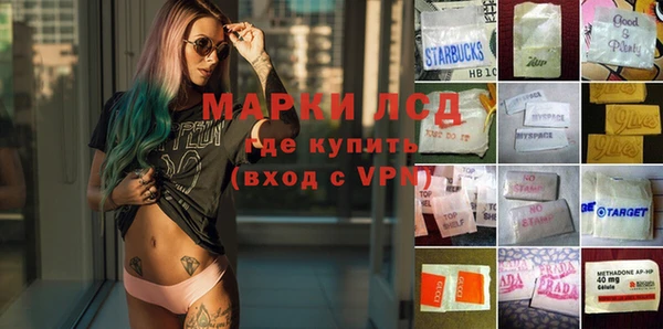 хмурый Аркадак