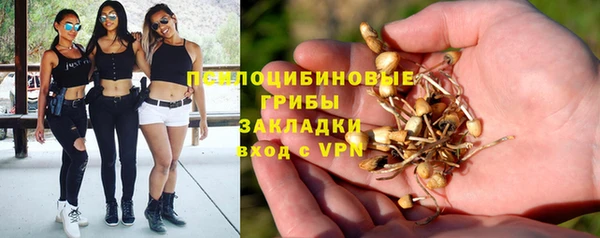 дурь Армянск