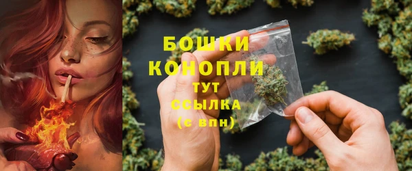 хмурый Аркадак