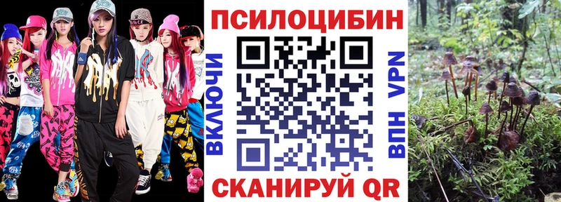 Псилоцибиновые грибы ЛСД закладка Новосокольники